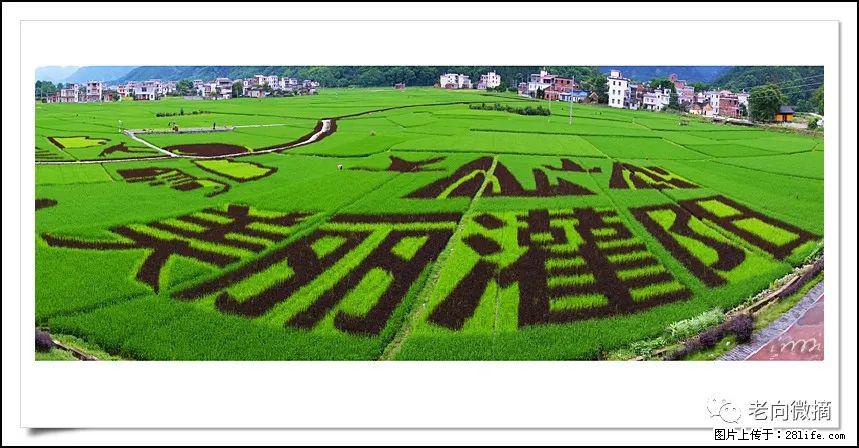 【春天,广西桂林灌阳县向您发出邀请!】开篇 - 游山玩水 - 威海生活社区 - 威海28生活网 weihai.28life.com