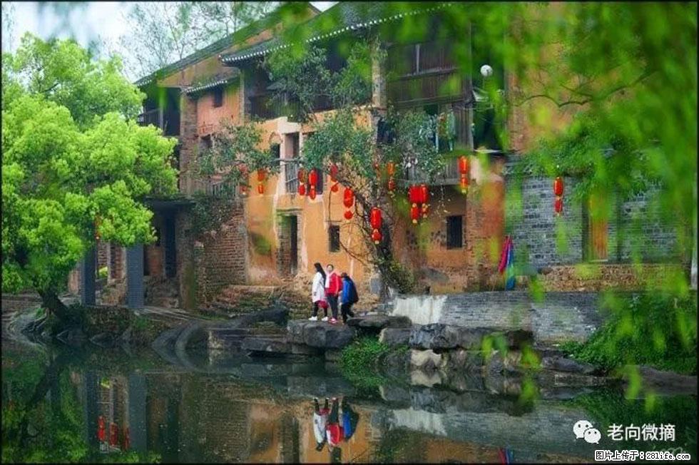 【春天,广西桂林灌阳县向您发出邀请!】江口老街又逢春 - 游山玩水 - 威海生活社区 - 威海28生活网 weihai.28life.com