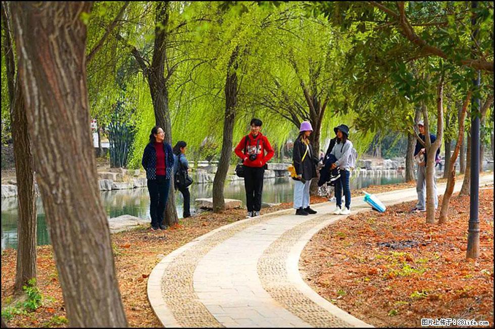 【春天,广西桂林灌阳县向您发出邀请!】江口老街又逢春 - 游山玩水 - 威海生活社区 - 威海28生活网 weihai.28life.com