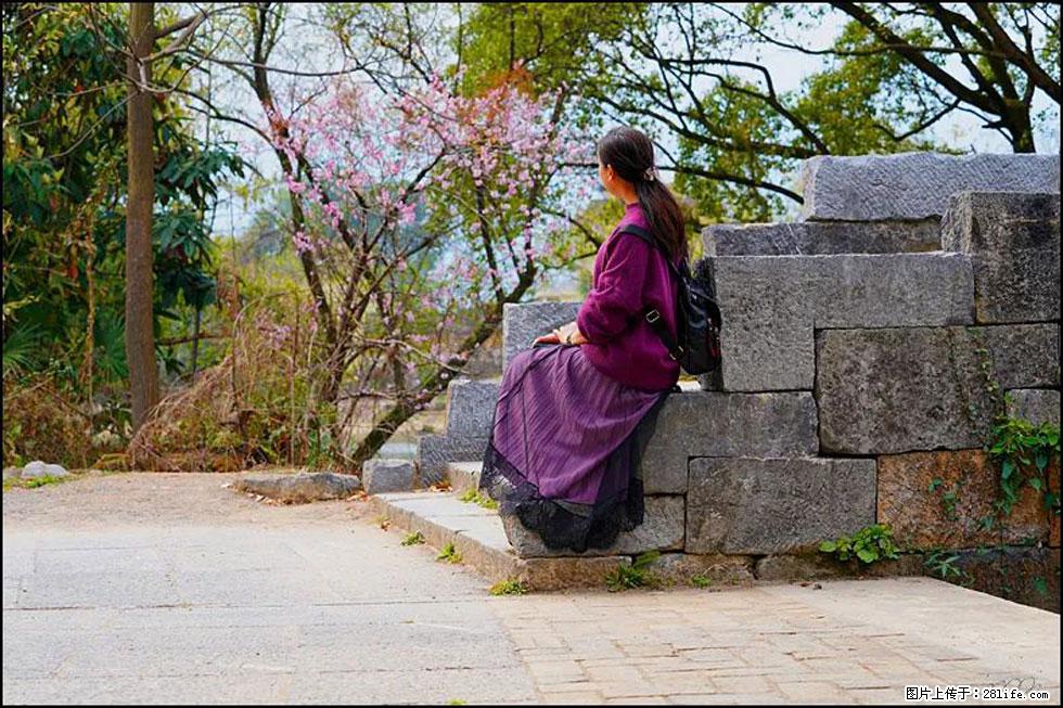 【春天,广西桂林灌阳县向您发出邀请!】江口老街又逢春 - 游山玩水 - 威海生活社区 - 威海28生活网 weihai.28life.com