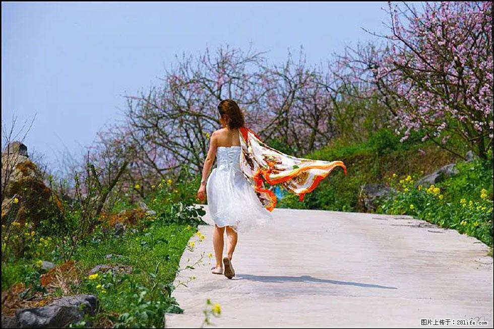 【春天,广西桂林灌阳县向您发出邀请!】望月岭上桃花开 - 游山玩水 - 威海生活社区 - 威海28生活网 weihai.28life.com