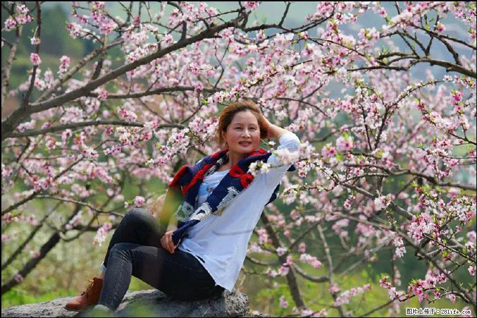 【春天,广西桂林灌阳县向您发出邀请!】望月岭上桃花开 - 游山玩水 - 威海生活社区 - 威海28生活网 weihai.28life.com