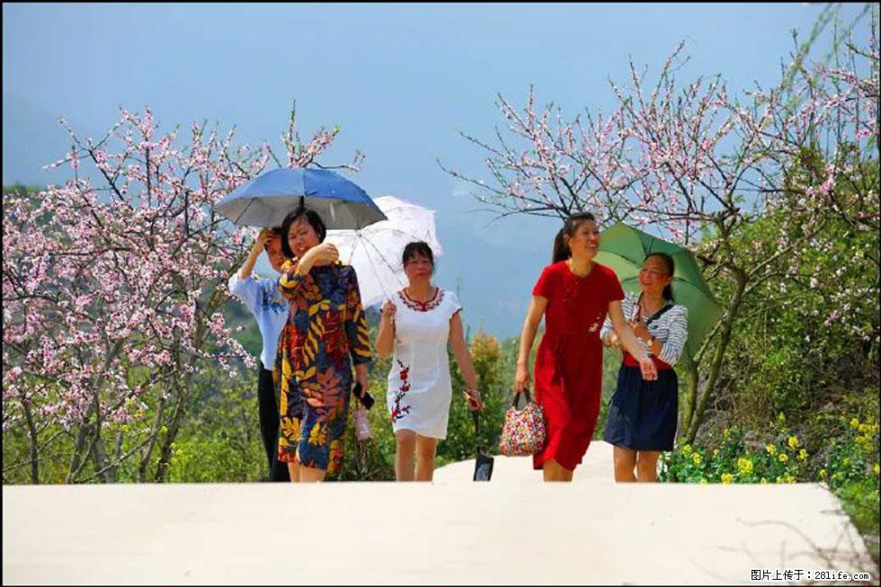 【春天,广西桂林灌阳县向您发出邀请!】望月岭上桃花开 - 游山玩水 - 威海生活社区 - 威海28生活网 weihai.28life.com