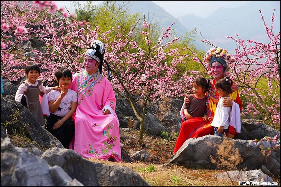 【春天,广西桂林灌阳县向您发出邀请!】望月岭上桃花开 - 游山玩水 - 威海生活社区 - 威海28生活网 weihai.28life.com