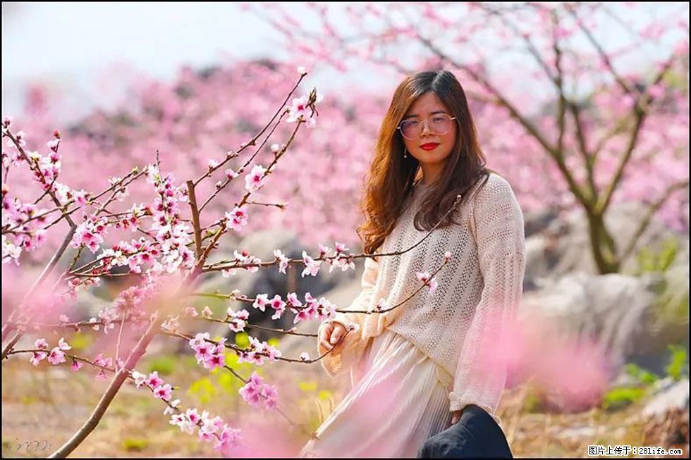 【春天,广西桂林灌阳县向您发出邀请!】望月岭上桃花开 - 游山玩水 - 威海生活社区 - 威海28生活网 weihai.28life.com