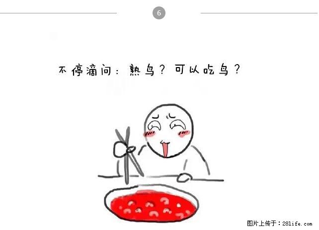 千万不要和这9种哈卵一起吃火锅! - 美食天地 - 威海生活社区 - 威海28生活网 weihai.28life.com