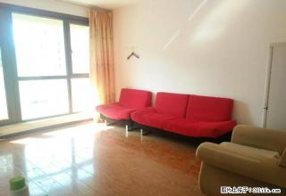 九中春山华居柴峰小区翠竹园田村！ - 威海28生活网 weihai.28life.com