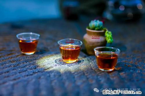 时间果百年古树2025年春红茶 - 购物交流 - 威海生活社区 - 威海28生活网 weihai.28life.com