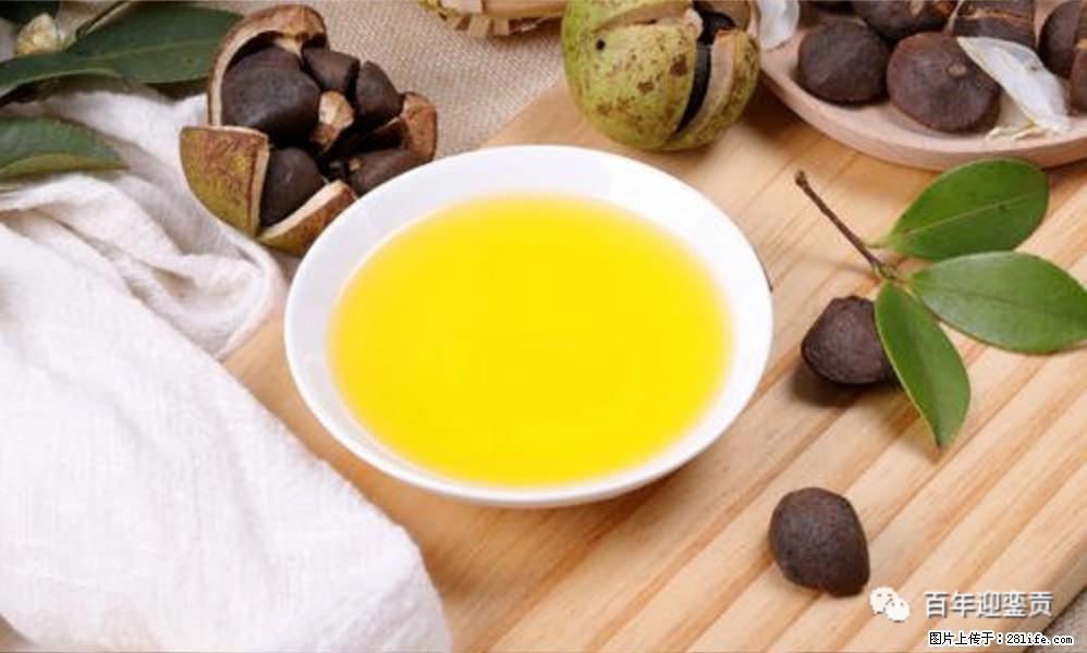 揭秘茶油的5大核心营养成分!被称为人体健康的“守护盾”! - 威海生活资讯 - 威海28生活网 weihai.28life.com
