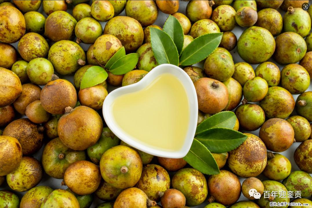 世界没有真相,只有认知,最好的食用油是中国的山茶油! - 威海生活资讯 - 威海28生活网 weihai.28life.com