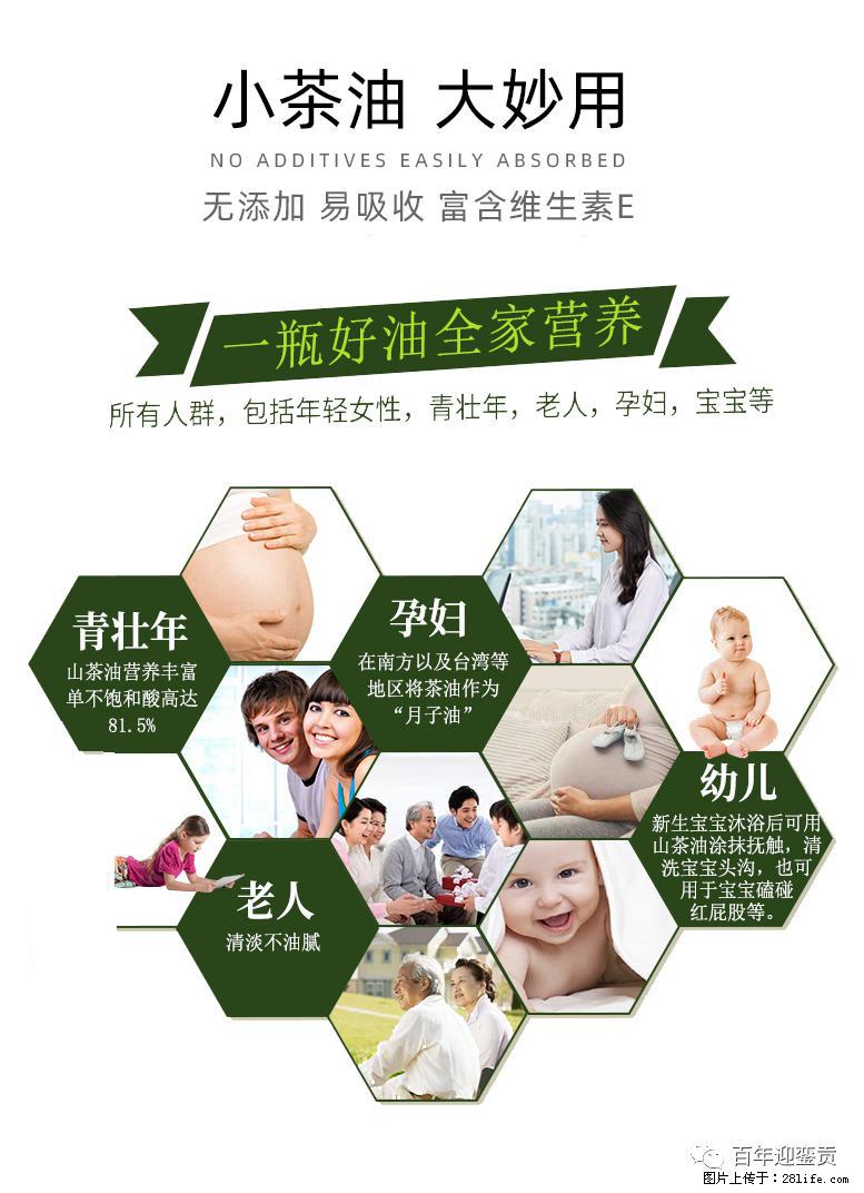 世界没有真相,只有认知,最好的食用油是中国的山茶油! - 威海生活资讯 - 威海28生活网 weihai.28life.com