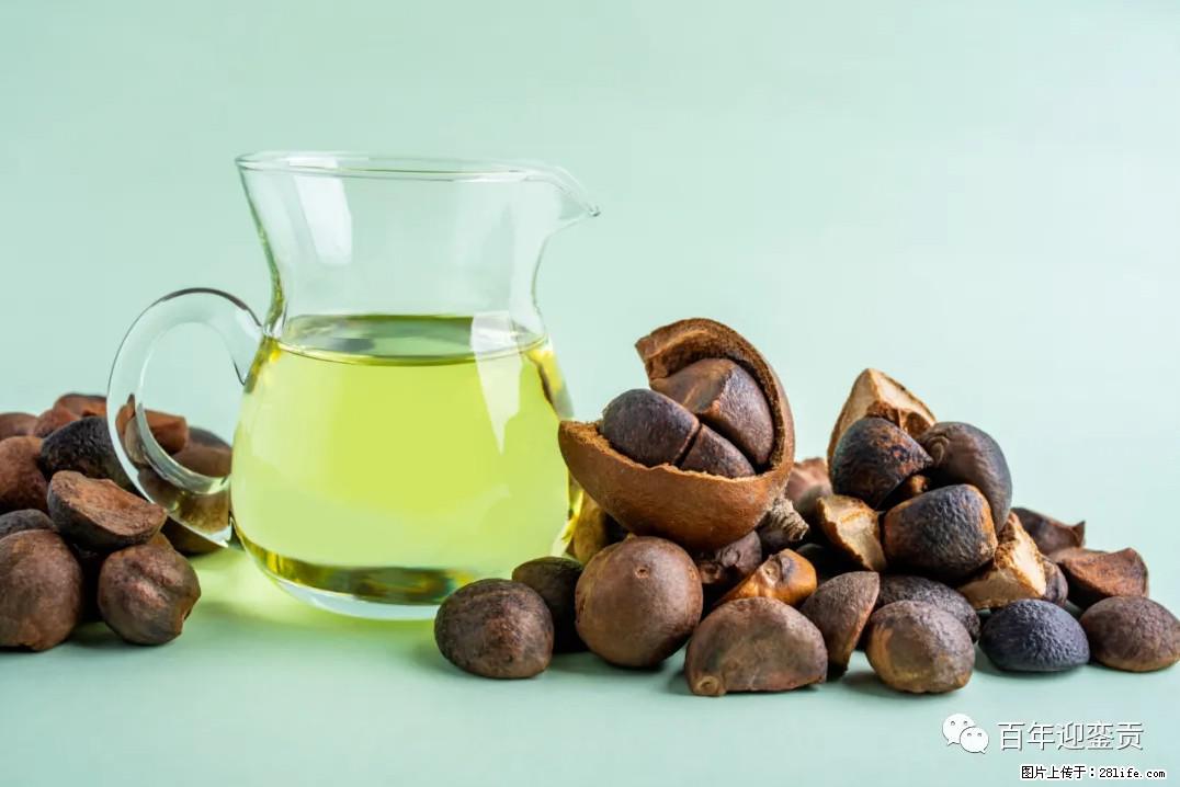 世界没有真相，只有认知，最好的食用油是中国的山茶油！ - 威海生活资讯 - 威海28生活网 weihai.28life.com