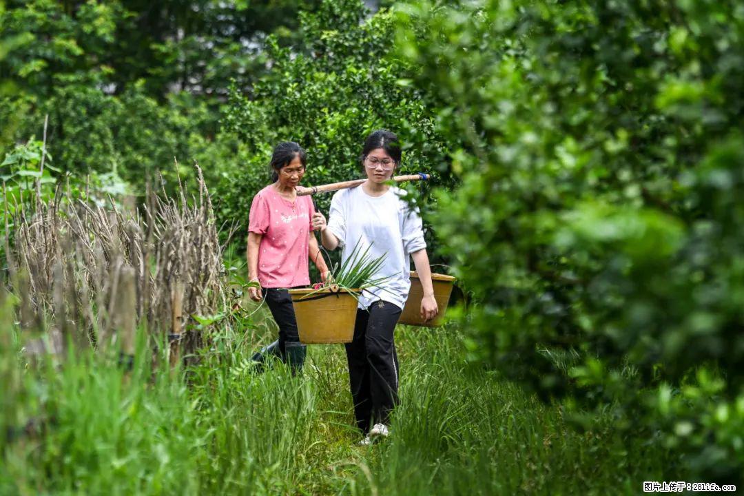 全网追的“扁担女孩”,找了一份暑假工,时薪12元 - 威海生活资讯 - 威海28生活网 weihai.28life.com