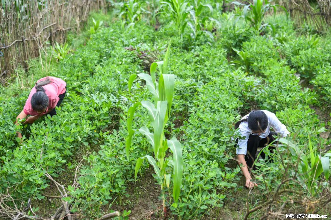 全网追的“扁担女孩”,找了一份暑假工,时薪12元 - 威海生活资讯 - 威海28生活网 weihai.28life.com