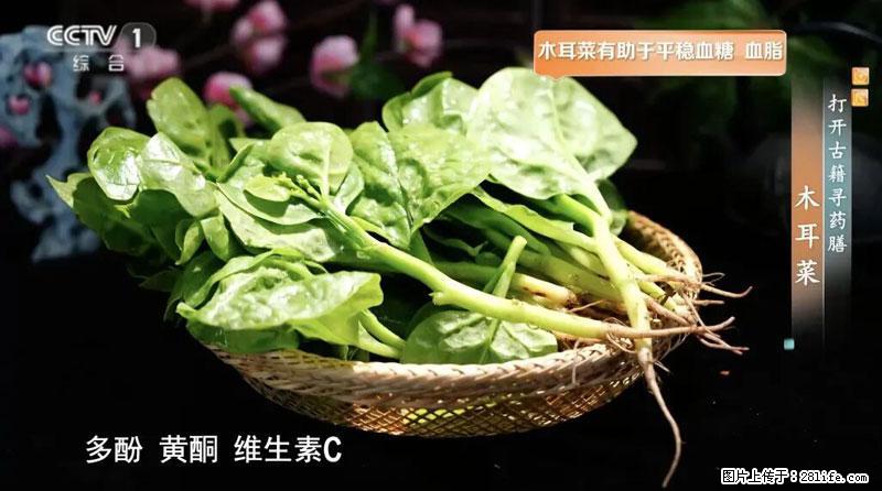 比牛奶补钙还厉害!凉血解毒、稳血糖...这菜冬天必吃,很多人却当草 - 威海生活资讯 - 威海28生活网 weihai.28life.com