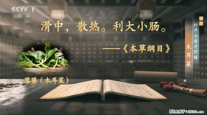 比牛奶补钙还厉害!凉血解毒、稳血糖...这菜冬天必吃,很多人却当草 - 威海生活资讯 - 威海28生活网 weihai.28life.com