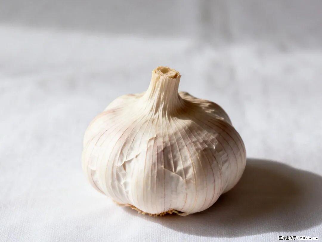 关于大蒜，除了“天然抗生素”，这4个谣言更该警惕! - 威海生活资讯 - 威海28生活网 weihai.28life.com