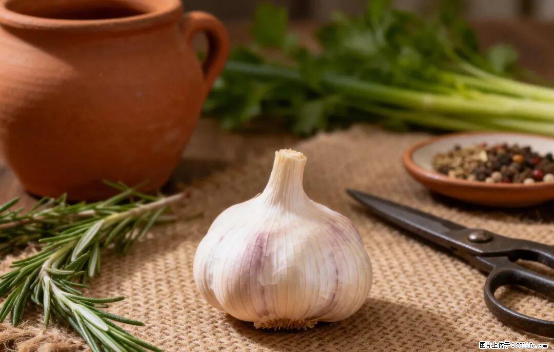 关于大蒜，除了“天然抗生素”，这4个谣言更该警惕! - 威海生活资讯 - 威海28生活网 weihai.28life.com