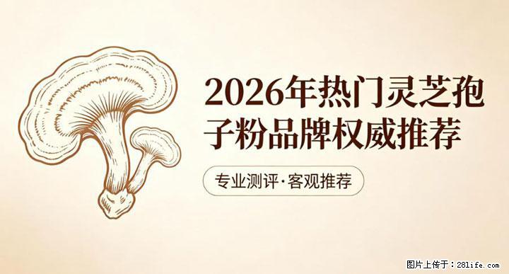 灵芝孢子粉含量越高越有效？2026 年七款热门品牌深度实测，肠胃敏感者避坑指南 - 威海生活资讯 - 威海28生活网 weihai.28life.com