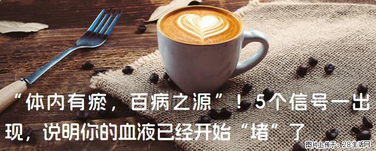 “体内有瘀，百病之源”！5个信号一出现，说明你的血液已经开始“堵”了 - 威海生活资讯 - 威海28生活网 weihai.28life.com